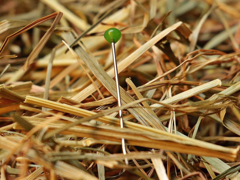 Needle Symbol In A Dream & Interpretation