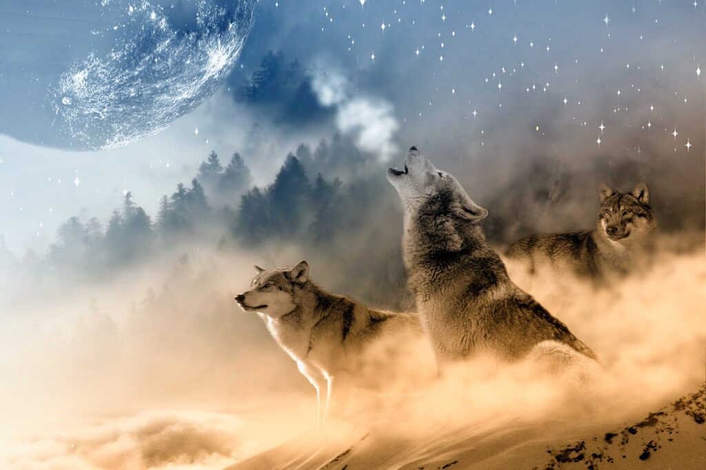 Wolf Dream Meaning