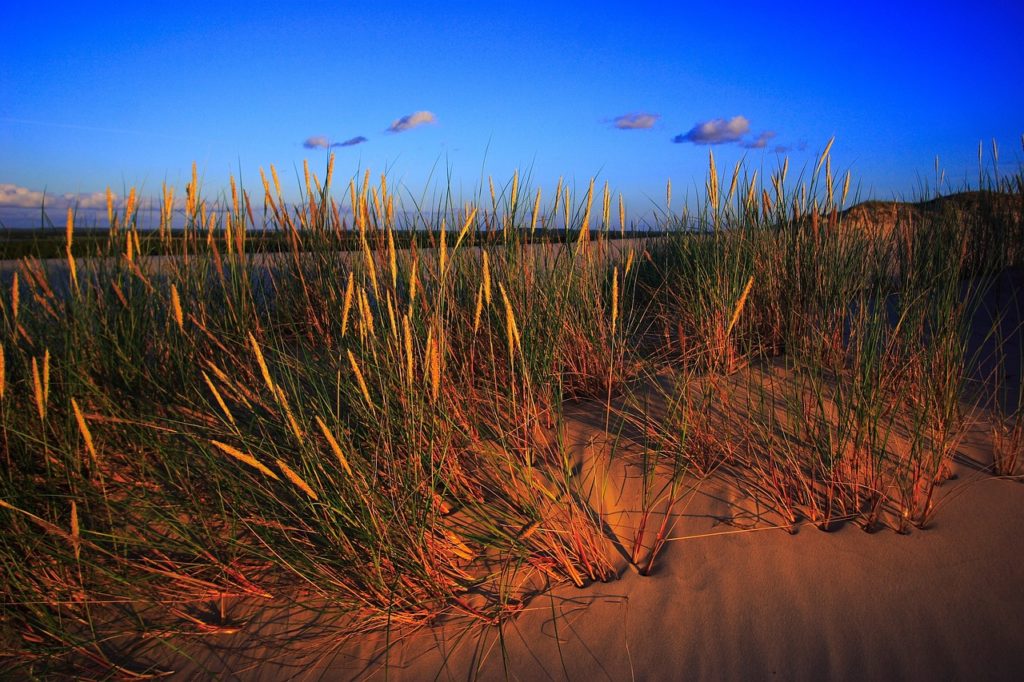 biblical meaning of sand in dreams