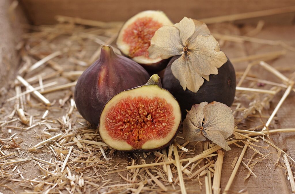 Figs Dream Meaning